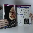 Atlas giải phẫu thiết đồ cơ thể người 