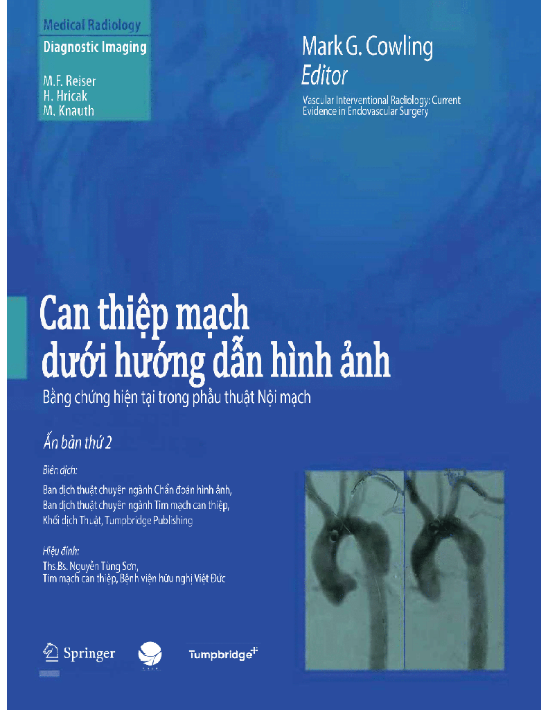 Can thiệp mạch dưới hướng dẫn hình ảnh, bằng chứng hiện tại trong phẫu thuật nội mạch 2E 236p